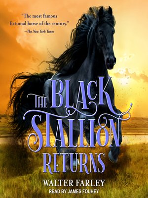 cover image of The Black Stallion Returns